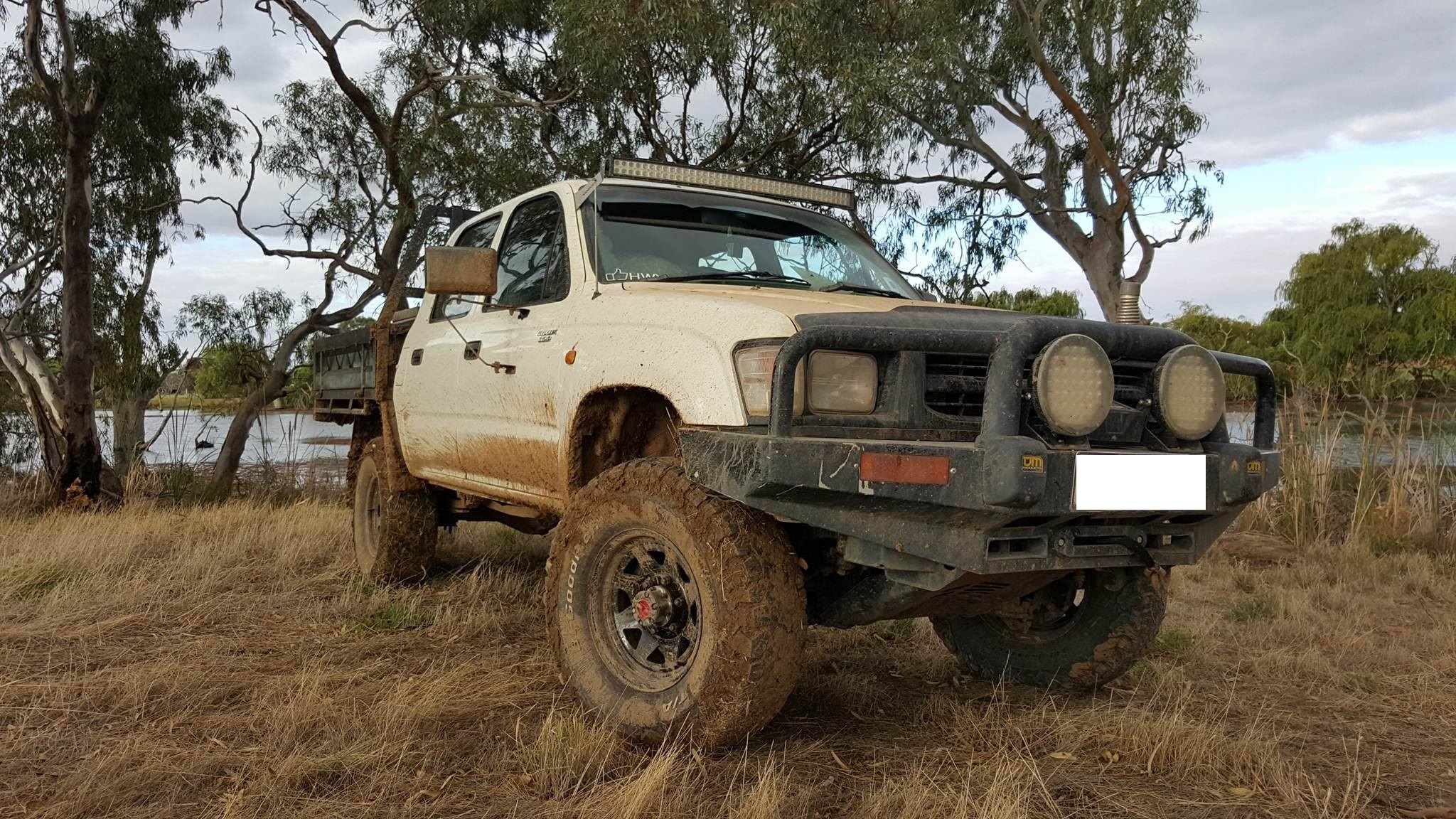 ln167 bullbar