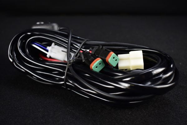Dual DT Wiring Loom