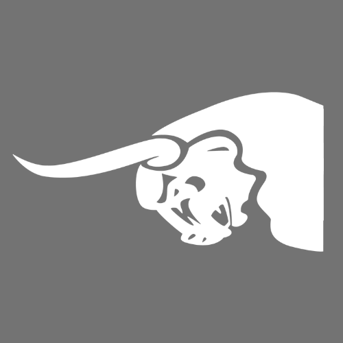 Bullseye Products short logo